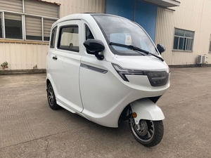 2023 Offre Spéciale électrique Cargo <span class=keywords><strong>Van</strong></span> Mini Tricycles 3 roues voiture électrique adulte fabriqué en Chine - Product Image 2
