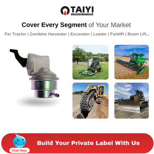 7990448 55273 SP1307MP M16240 Bomba de Combustible Mecánica para Ford Mercury 1.6L, Bomba de Combustible OEM/ODM Disponible, Muestra Disponible - Product Image 3