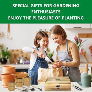 Kit de culture de bonsaï japonais DIY Outils de culture de plantes d'<span class=keywords><strong>intérieur</strong></span> uniques Jardinières personnalisables Cadeaux de jardinage pour femmes hommes enfants - Product Image 3