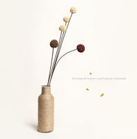 Ornements de décoration de la maison fleurs naturelles séchées fruits d'érable passepartout fleurs sèches éternelles