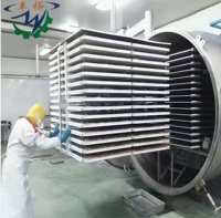 Automatische roestvrijstalen gember vacuümvriesdroogmachine met motor voor de verwerking van specerijen, fruit, groenten, bessen en champignons