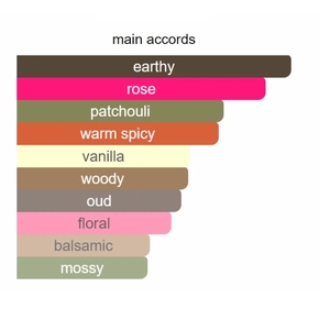 Profumo Colonia USA in Stock (2-7 giorni) con Ricevuta - Spray EDT/EDP a Lunga Durata - Product Image 4