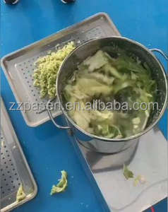 Máquina <span class=keywords><strong>Profesional</strong></span> para Triturar Melones, Máquina para Desmenuzar Repollo, Máquina para Moler Vegetales, Precio - Product Image 4