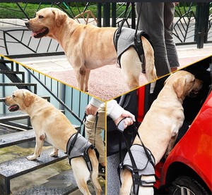 Blessures articulaires Personnes âgées et arthrite Aide au harnais de soutien pour chien harnais de levage pour chien jambes arrière harnais pour animaux de compagnie - Product Image 4