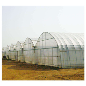 Serres agricoles multi-travées <span class=keywords><strong>en</strong></span> acier galvanisé avec film PE pour la culture <span class=keywords><strong>de</strong></span> fraises <span class=keywords><strong>en</strong></span> <span class=keywords><strong>gros</strong></span> - Product Image 2