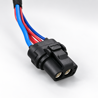 Harnais de câblage électrique personnalisé OEM avec borne annulaire pour équipement automobile, moto et industriel
