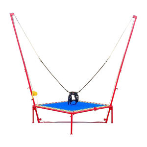 Trampolín de Salto Bungee Comercial Personalizado de Alta Calidad para Interiores/Exteriores de 2*2*4m, Precio de Fábrica - Product Image 1