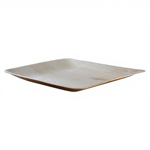 Plateau de service jetable <span class=keywords><strong>en</strong></span> feuille de palmier, 14 x 10 pouces, léger, imperméable, compostable, pour le camping, biodégradable, respectueux de l'environnement - Product Image 3