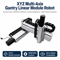 QIGE Mesa deslizante CNC de doble riel lineal con eje XYZ, carrera de 100-1000mm, componente de motor con núcleo de aleación de aluminio, actuador lineal de 1000mm