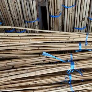 Mejor venta CH GLOBAL pequeño patrón de una sola capa muebles artesanías Material de caña de ratán Natural invernaderos agrícolas - Product Image 3