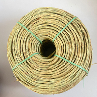 Corde en coton de couleur naturelle, corde en raphia, corde en écorce de maïs, tressage à cinq ou sept brins pour sacs, chapeaux, chaussures, artisanat