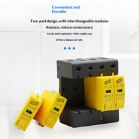 Parafoudre certifié CE T2 385V 40kA 1P 2P 3P 4P pour systèmes solaires et industriels