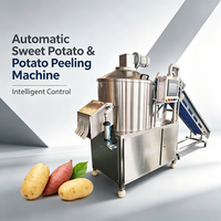 PLC-gestuurde fruit- en groenteschiller, volautomatische zoete-aardappel schilmachine, industriële aardappelschilmachine