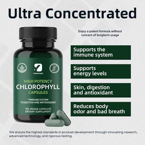 Capsules OEM Factory Chlorophylle 600 Mg Antioxydant Soutien pour l'Immunité Énergie Peau Réduction des Odeurs Corporelles et Mauvaise Haleine 120 Capsules - Product Image 5