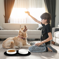 Bols en céramique écologiques de haute qualité pour animaux de compagnie, aspirateur à double paroi, logo personnalisé pour chats et chiens