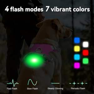 Kunden spezifisches leichtes leichtes Hunde geschirr Wiederauf lad bares No-Pull-LED-Hunde geschirr mit abnehmbarer Licht box, Airtag-Halter - Product Image 5