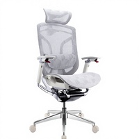Chaise de bureau ergonomique de luxe, dossier double en maille réglable avec accoudoirs 4D et soutien lombaire dynamique pour le bureau à domicile