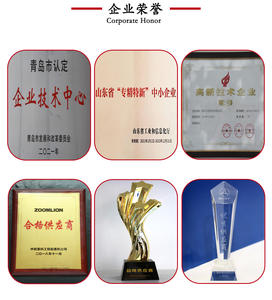 Transmisiones Finales Planetarias 41C4370 para LIUGONG 6611E, 6612E Rodillo Compactador de Carretera de un Solo Tambor - Product Image 5