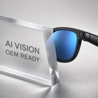 Lunettes Intelligentes HD 1080P avec Caméra 800W Pixels, Audio Sans Fil BT 5.3, Enregistrement Vidéo 1h, Outil de Réunion