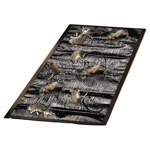 Pasta Adhesiva Súper Fuerte para <span class=keywords><strong>Ratones</strong></span>, Alfombra Mágica de Plástico Sólido para Atrapar <span class=keywords><strong>Ratones</strong></span>, Clip para Atrapar <span class=keywords><strong>Ratones</strong></span>, Antirratones, Ecológica - Product Image 1