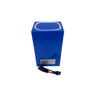 Paquete de batería de iones de litio personalizado de 14,8 V, 20Ah, 12,8 V, 30Ah, 18650, 21700 celdas con BMS para cámaras de seguridad, sistemas de vigilancia al aire libre