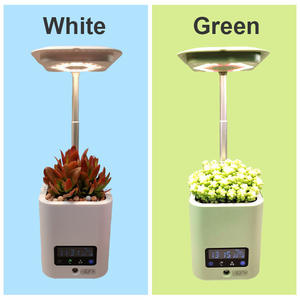 Pot de fleurs intelligent avec humidificateur lumineux, pot de fleurs LED, modèle de musique, horloge pour <span class=keywords><strong>calendrier</strong></span>, vente d'usine, - Product Image 2