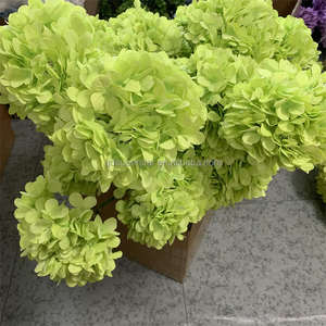 B-696 Compre al por Mayor Flores de Hortensia de Seda Verde para Decoración del Hogar, Ramas Largas Decorativas de Hortensia, Flores Artificiales Individuales Grandes - Product Image 3