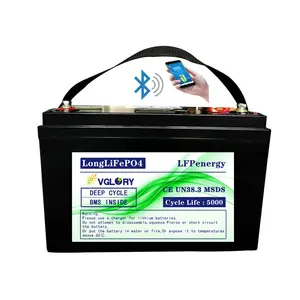 Li Ion Lithium-batterie 100ah Liontron China Manufacture Sealed Lifepo4 12v 200ah Akku For Limo