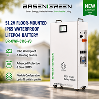 Batterie LiFePO4 hybride split d'extérieur Basen IP65 51.2V 314Ah 16kWh avec chauffage intégré anti-gel pour stockage solaire domestique