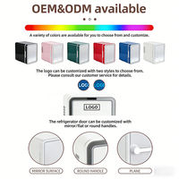 Mini Refrigerador Portátil de 4L con Espejo, Enfriador y Calentador, Refrigerador Compacto para Cosméticos y Cuidado de la Piel con LED, Refrigerador de Belleza para Auto para Almacenamiento de Maquillaje