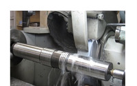 SB40 SB50 SB81 SB121 SB151 Piston en acier hautement allié pour marteau de brise-roche hydraulique d'excavatrice