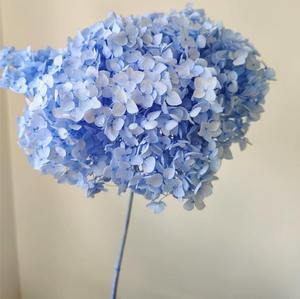 <span class=keywords><strong>Bouquet</strong></span> d'hortensias <span class=keywords><strong>séchées</strong></span> de haute qualité, 24 pièces, petites feuilles, fausses <span class=keywords><strong>fleurs</strong></span>, pour la décoration de la maison - Product Image 5