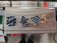 Industriële Blauwe Bes Sorteermachine van RVS, Hoge Efficiëntie, Capaciteit 500-1000kg/u, voor het sorteren van bosbessen en blauwe bessen