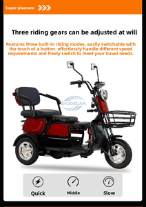 Passenger & Cargo Dual-Use 3 <b>Wheel</b> Leisure Electric Tricycle for Adults and Kids - Product Image 5