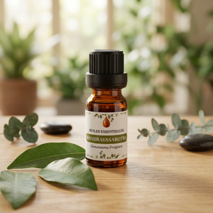 Huile Essentielle Pure SARO 100% de Mandravasarotra, Feuille de Cinnamosma Fragrans, pour Parfumeurs Artisans et Aromathérapie, Durée de Conservation de 3 Ans, Bidon - Product Image 1