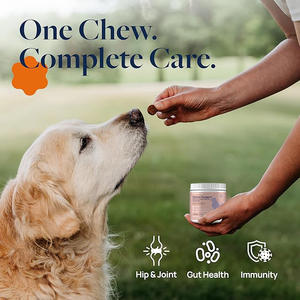 Suplemento en Polvo Multivitamínico para Perros Mayores con Glucosamina para la Salud de las Articulaciones, el Cerebro y el Corazón en Perros en Edad Madura - Product Image 3