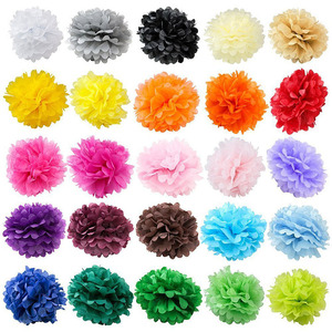 10PCS Tissue Paper Flower DIY Crafts Hanging Paper Flower Paper Poms Wedding Birthday Party Decoration