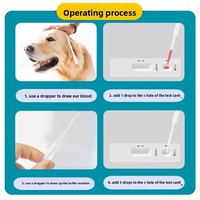 Bandelettes de test de grossesse sanguinnes à usage unique pour la détection précoce de la gestation chez les chats et les chiens, compatibles chats et chiens