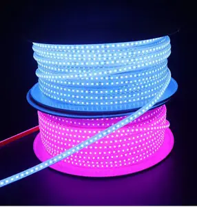 IP68 24V Underwater Smd2835 Submersible Led Strip Light China Led Swimming Pool Decoration Light