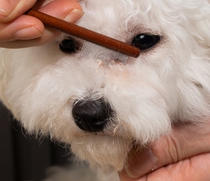 Peine para perros, removedor de pelo para mascotas, mango de madera, peine sólido para gatos, herramienta de limpieza para el cuidado de mascotas, herramientas de eliminación de garrapatas y pulgas - Product Image 2