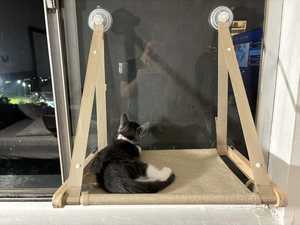 Hamac de fenêtre <span class=keywords><strong>pour</strong></span> chat, intérieur, <span class=keywords><strong>en</strong></span> bois, housse lavable <span class=keywords><strong>en</strong></span> machine, pliable, perchoir de fenêtre <span class=keywords><strong>pour</strong></span> chat - Product Image 6