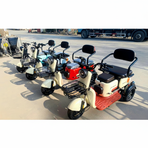 Triciclo Eléctrico de 3 Ruedas de Moda 2025, de una Sola Velocidad, 48V para Pasajeros - Venta Directa de Fábrica en China y Mini Auto Conveniente - Product Image 1