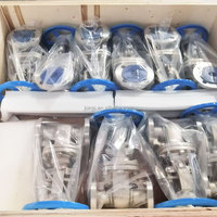 Válvula de Compuerta con Brida de Acero Inoxidable Clase 150