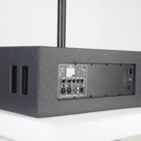 Système de sonorisation colonne 3 voies amplifié avec DSP et Bluetooth 5.0 pour fêtes en extérieur et spectacles de rue