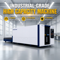Machine de découpe laser à fibre métallique en acier au carbone de haute qualité Han's Laser C3 Pro 3000w 6kw, découpeuse laser CNC
