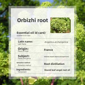 Прямые поставки, органическое дистиллированное эфирное масло для корня ангела, ароматерапия, уход за кожей, сырье высокого качества - Product Image 3