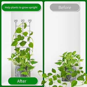 Staffa da arrampicata in metallo torre da <span class=keywords><strong>giardino</strong></span> supporto a traliccio per viti e piante per recinzioni e cancelli - Product Image 4