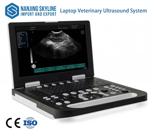 Échographe vétérinaire portable pour animaux de compagnie, pour le contrôle de la grossesse et l'examen des organes internes en clinique vétérinaire RS-N60(VET) - Product Image 1
