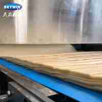 RVS Biscuitproductielijn Machine Nieuw 100-1250kg/u Capaciteit Multifunctioneel Bloem- en Melkgebaseerd Eenvoudige Bediening