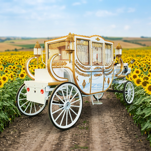 Chariot électrique sans chevaux pour mariage royal, prix d'usine en gros, pneus en caoutchouc massif, couleur personnalisée, chariot de princesse pour visites touristiques - Product Image 1